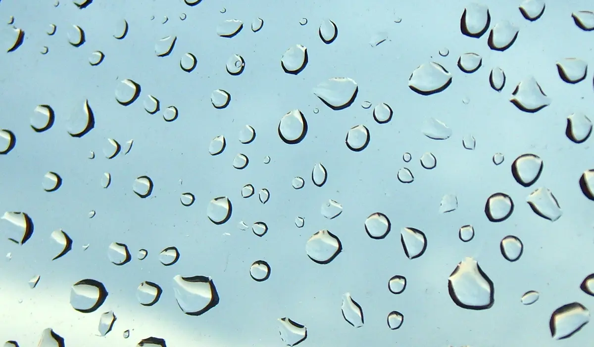 Water droplets on a pane of glass.