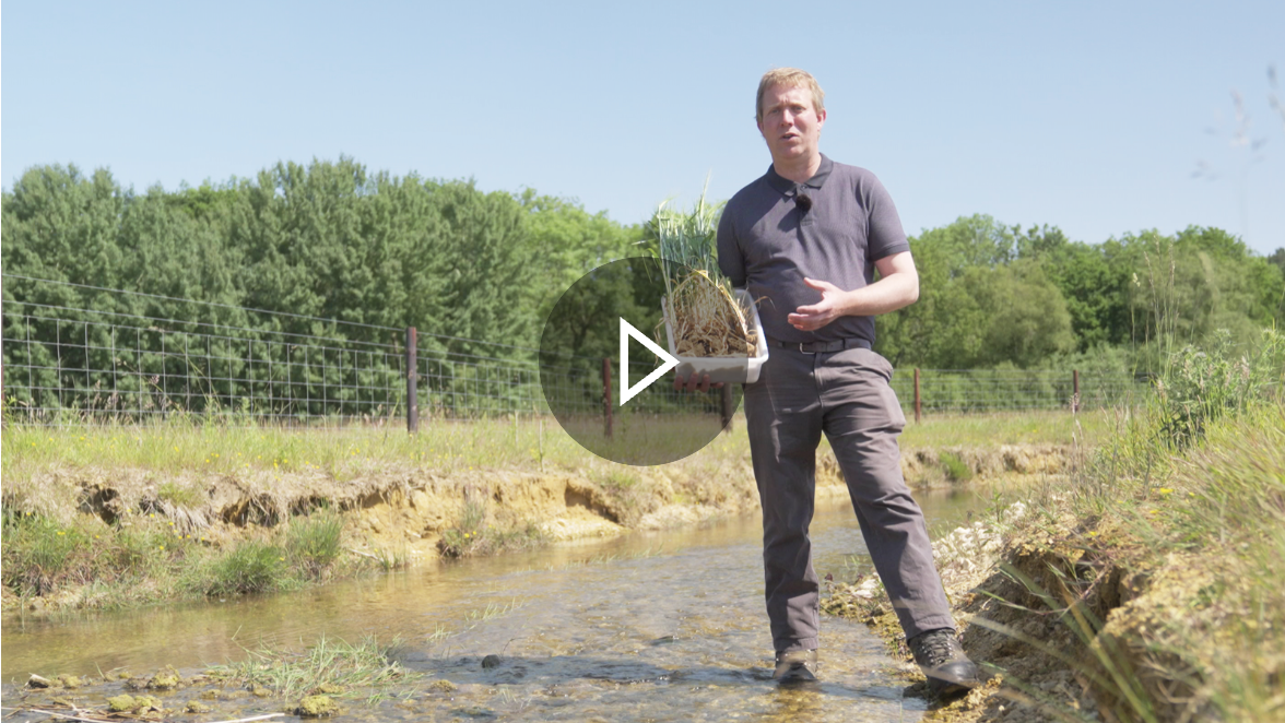 Case study: sustainability at Dyson Farming video thumbnail.