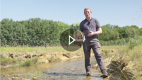 Case study: sustainability at Dyson Farming video thumbnail.