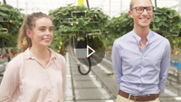 Case study: the glasshouse at Dyson Farming video thumbnail.